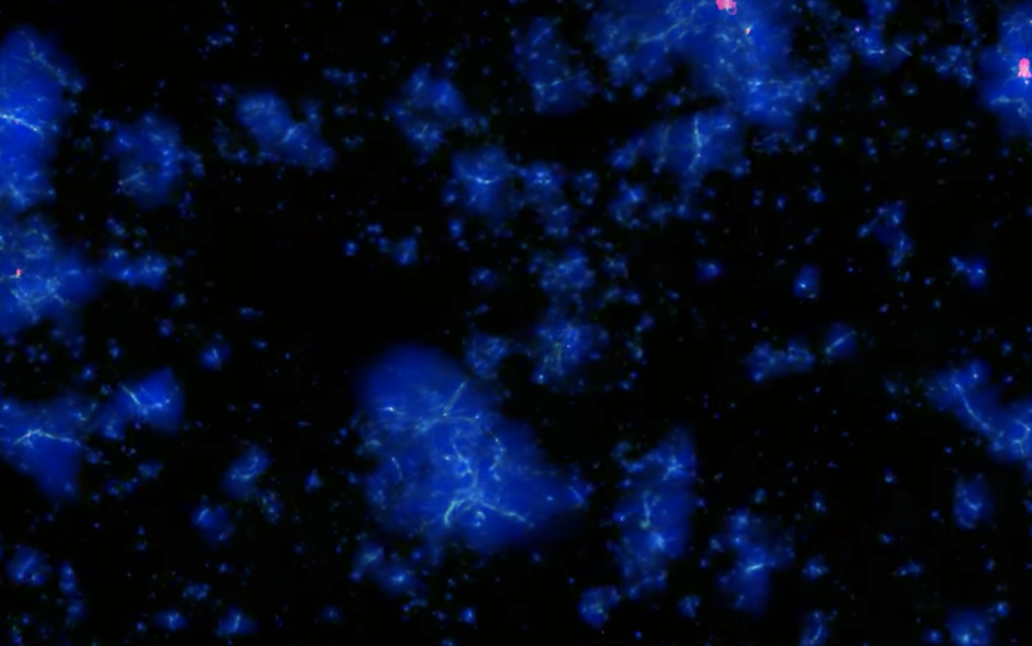This movie shows a 16/h co-moving Mega-parsec sub-region of the Cosmic Dawn III simulation. Ionising photon density is shown in blue, gas density is in white, high temperature regions appear in red. <a href='https://drive.google.com/file/d/1cknDGp9JHXLgtVrVe6lU5e56hZWzr974/view?usp=sharing' target='_blank'>Download (257MB)</a>